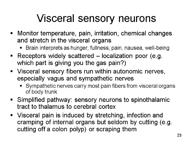 23 Visceral sensory neurons Monitor temperature, pain, irritation, chemical changes and stretch in the